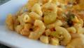 Easy Macaroni Casserole created by Parsley