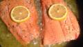 Salmon Fillets Canadiana created by emershine