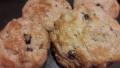 Oatmeal Scones created by TooTiny
