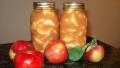 Canned Apple Pie Filling created by michEgan