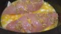 Herbed Turkey Breast With Orange Sauce - Crock Pot created by Derf2440