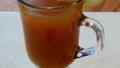 Hot Spiced Apricot Tea created by Bobtail