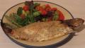 Trout in Cream Sauce created by Peter J