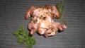 Roasted, Herbed Baby Chickens created by -Sheri-