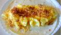 Breakfast Burrito (Like Mc Donald's!) created by AmyMCGS