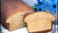 Sourdough Honey Whole Wheat Bread created by kzbhansen