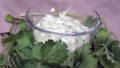 Cilantro Salad Dressing created by PaulaG