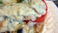 Low Cal Dill Sauce for Poached Fish created by Derf2440