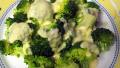 Broccoli with Two-Cheese Horseradish Sauce created by Herb-Cat