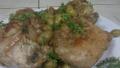 Sabra Chicken created by Mivashel