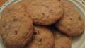 Butter-Pecan Cookies created by Engrossed