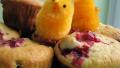 Cranberry-Orange Muffins created by Redsie