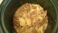 Crock Pot Hamburger 'n Potato Casserole created by mums the word