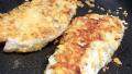 Red Snapper Parmigiana created by Derf2440