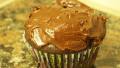 Double Chocolate Cocoa Cupcakes created by Juenessa