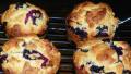 Blueberry Corn Muffins created by Baby Kato