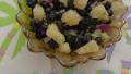 Blueberry Salsa created by Lindas Busy Kitchen