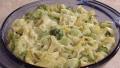 Broccoli-Noodle Parmesan Bake created by RecipeNut