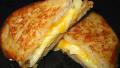 Apple Grilled Cheese Sandwich created by shimmerchk