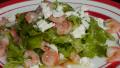 Aegean Shrimp Salad created by Rita1652