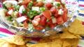 Chunky Tomato Salsa created by Bergy