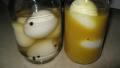Mustard Pickled Eggs created by KellyMae