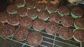 Chocolate Zucchini Muffins created by Alicia H.