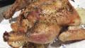 Roast Chicken With Italian Seasonings created by Derf2440