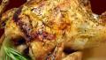 Roast Chicken With Italian Seasonings created by sheriboren