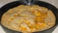Easy Creeping Crust Cobbler created by Charmie777