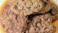 Clementine's Oatmeal Chocolate Chip Cookies created by Mamas Kitchen Hope