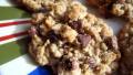 Clementine's Oatmeal Chocolate Chip Cookies created by Juju Bee