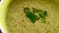 Vegan Cream of Coriander (Cilantro) Soup created by KristinV