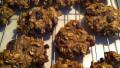 Healthy Oatmeal Raisin Cookies created by Lacy S.