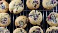 Blackberry Mini-Muffins or Mini-Cupcakes - You Decide! created by ElizabethKnicely
