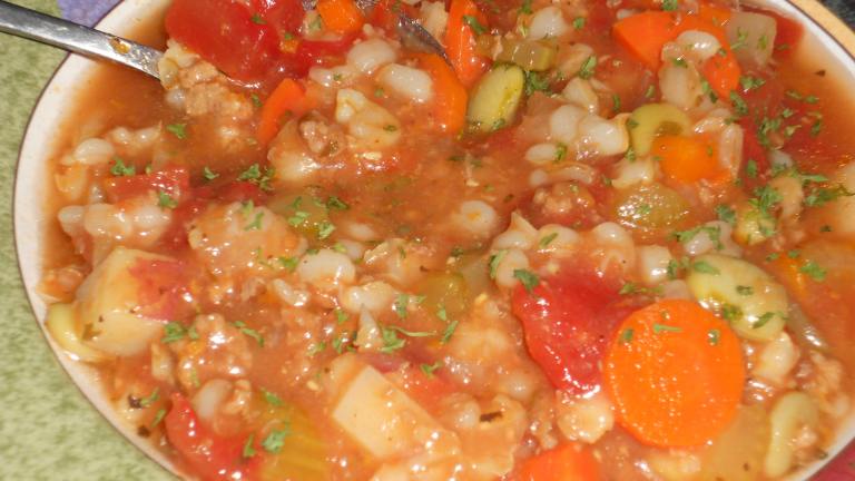 Hamburger Barley Stew (Crock Pot) Recipe - Food.com