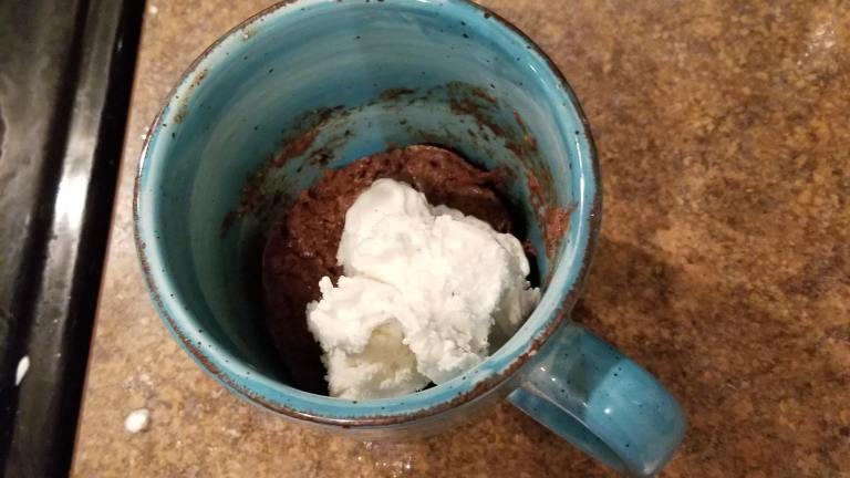 Low Carb Chocolate Mug Cake Recipe - Food.com