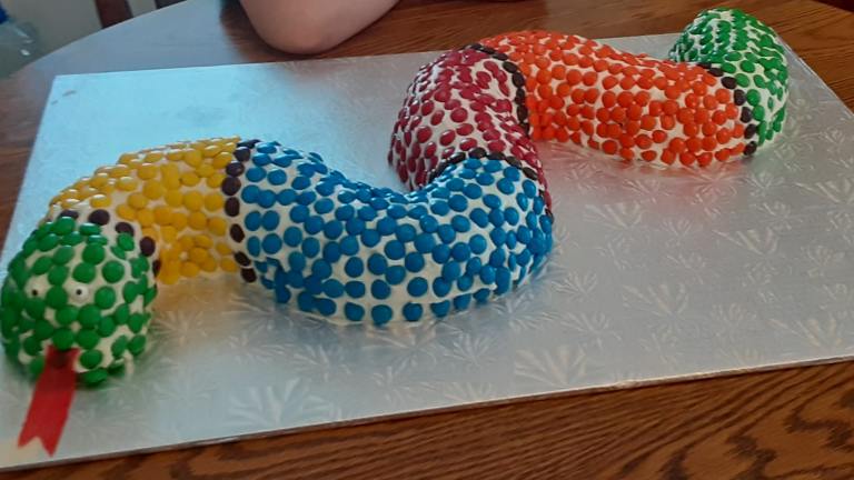 Slinky the Snake (cake) Created by joanie.1991