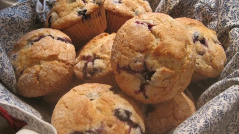 Jordan Marsh Blueberry Muffins created by Lynn in MA