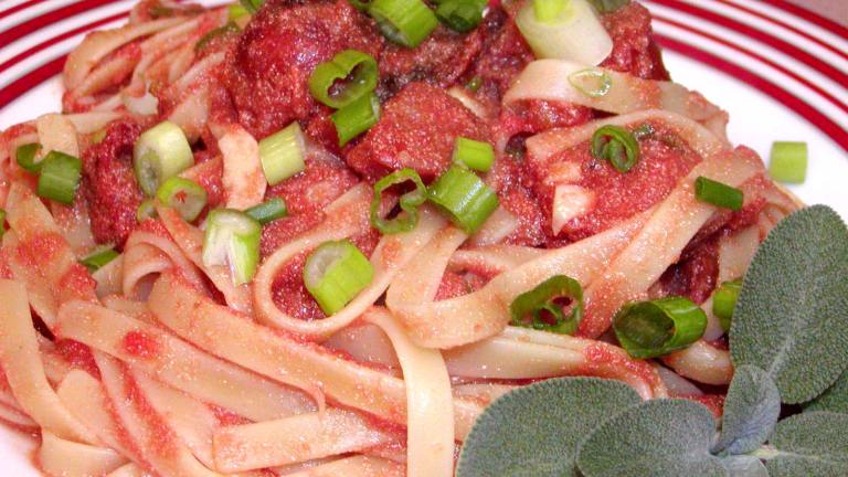 Fettuccine With Creamy Tomato Sausage Sauce created by Rita1652