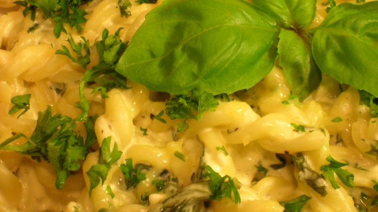 Creamy Pesto Pasta Italiana Created by - Carla -