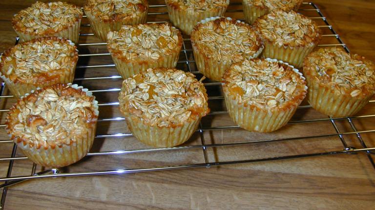 Apricot Walnut Oatmeal Muffins (No Flour!) SBD Phase 2&3 Created by Barb G.
