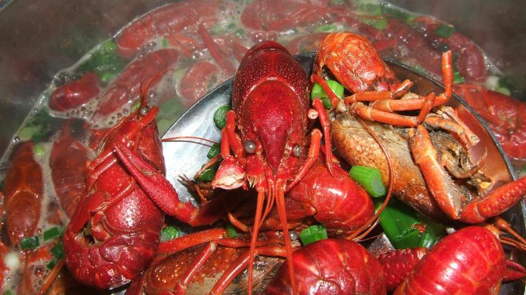 Crawfish Boil Created by boy named Sous