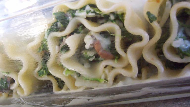 Spinach and Mushroom Lasagna Roll Ups Created by  Pamela 