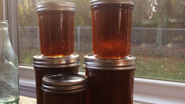 Persimmon Jam created by crazydaisylady