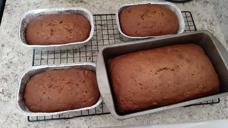 Kelly's Chocolate Chip and Pecan Zucchini Bread Created by Christina D.