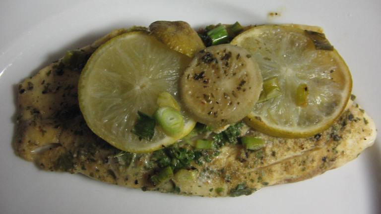 Cilantro Lime Fish Created by Vino Girl