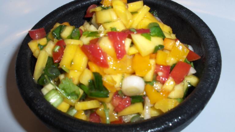 The Mango Salsa Recipe Created by startnover