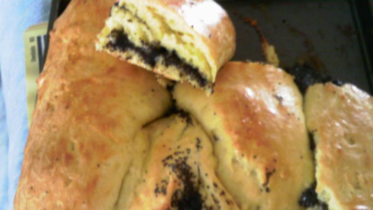 Nut and Poppy Seed Roll ( Hedeg Kelet) created by Dienia B.