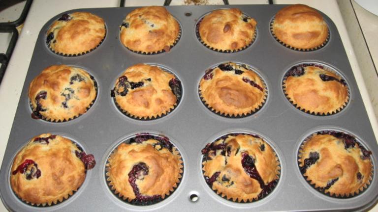 Blueberry Yogurt Muffins Created by Squirrelette